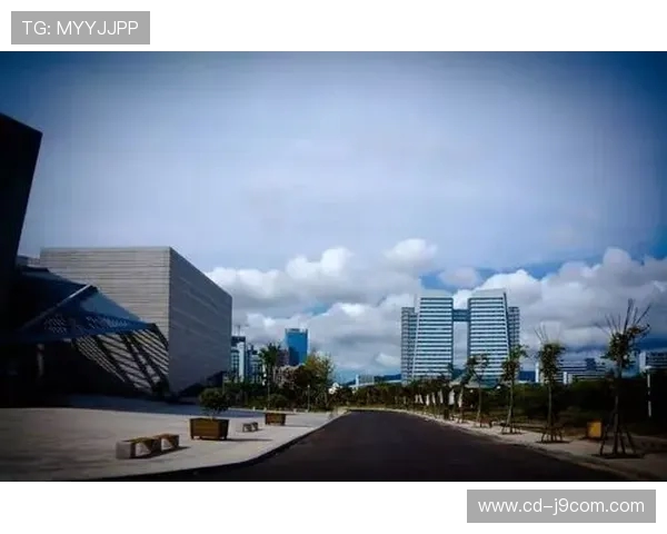 围绕北京阎村足球场位置展开的区域发展规划思考与未来蓝图构想篇 围绕北京阎村足球场位置展开的区域发展规划思考与未来蓝图构想篇