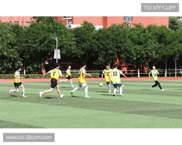 秦皇岛足球表演精彩纷呈 点燃球迷热情展现足球魅力与城市风采