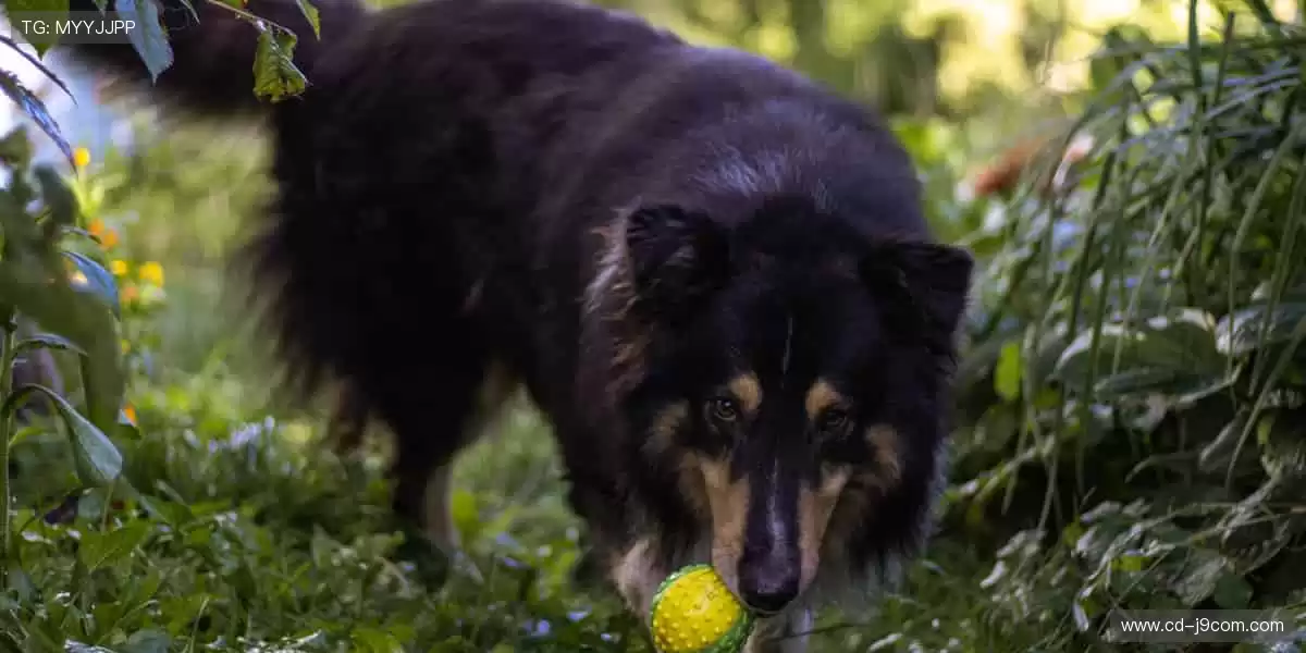 🏃 奔跑吧，用汗水丈量世界！📅 下一场赛事，等你挑战！
